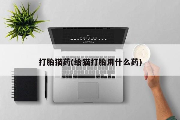 网上正品打胎药购买微信打胎猫药(给猫打胎用什么药)