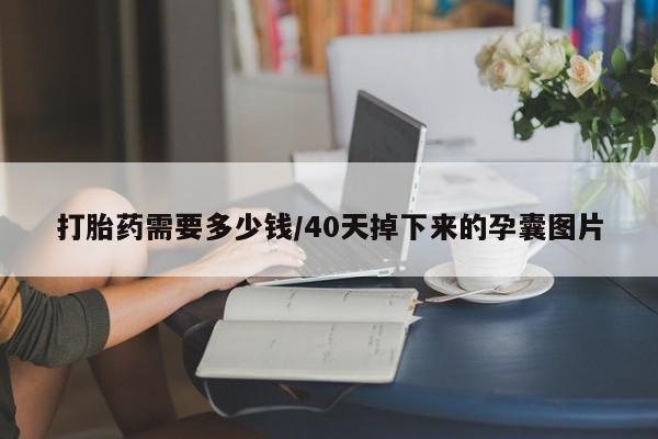 网上正品打胎药购买微信打胎药需要多少钱/40天掉下来的孕囊图片